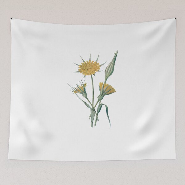 Item preview, Goat’s beard, drooping heart-shaped flowers, Bleeding Heart, Plants Print, Original Flower Print, Botanical Antique, Antique print, Foxglove Wall art, Foxglove Flower, Botanical Prints designed and sold by Studio66Designs.