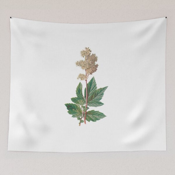 Item preview, Meadow Sweet, drooping heart-shaped flowers, Bleeding Heart, Plants Print, Original Flower Print, Botanical Antique, Antique print, Foxglove Wall art, Foxglove Flower, Botanical Prints designed and sold by Studio66Designs.