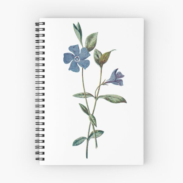 Item preview, Lesser Periwinkle, drooping heart-shaped flowers, Bleeding Heart, Plants Print, Original Flower Print, Botanical Antique, Antique print, Foxglove Wall art, Foxglove Flower, Botanical Prints designed and sold by Studio66Designs.