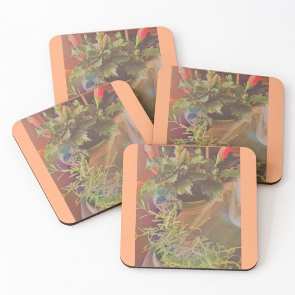 Item preview, Plants with a Rainbow  designed and sold by missmermaid1990.