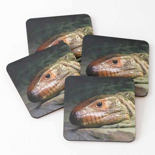 Item preview, Dracaena (lizard) designed and sold by Martulia.