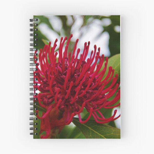 Item preview, Waratah telopea 2   designed and sold by lezvee.