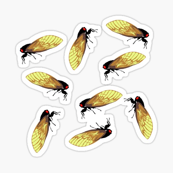 Cicadas All Over Sticker