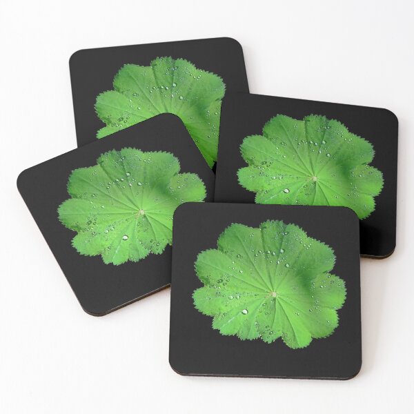 Item preview, Leaf after the Rain designed and sold by neil harrison.