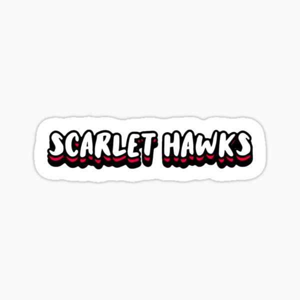 Illinois Tech Scarlet Hawks Women's Soccer Pullover Hoodie - Scarlet