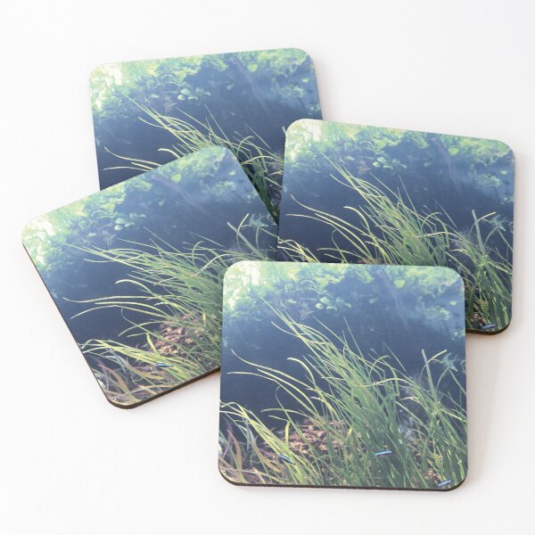 Item preview, . sea plants . designed and sold by diana rogagels.