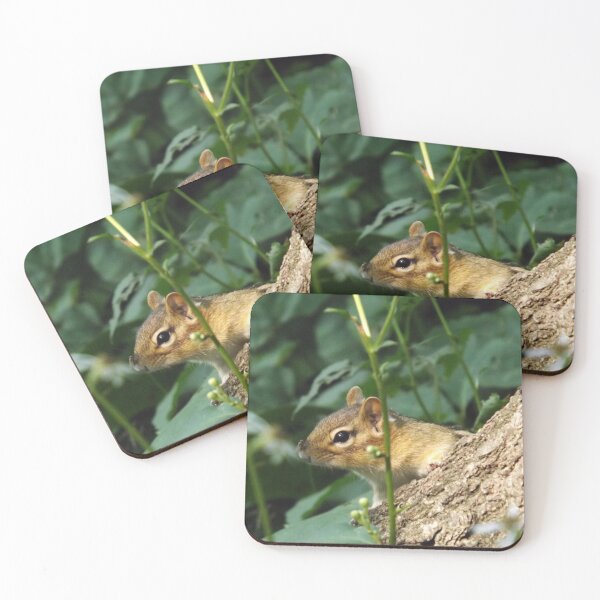 Item preview, Chipmunk  designed and sold by EzbieArt.