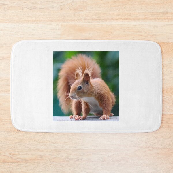 Item preview, A Gorgeous Red Squirrel designed and sold by Karen Thomson.