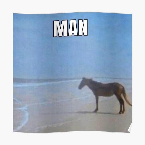 Horse Meme Posters Redbubble