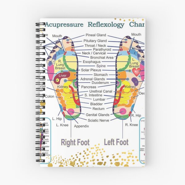 Item preview, Foot Reflexology Acupressure Spots Map - Therapeutic Massage Ideas designed and sold by Swaggaville.