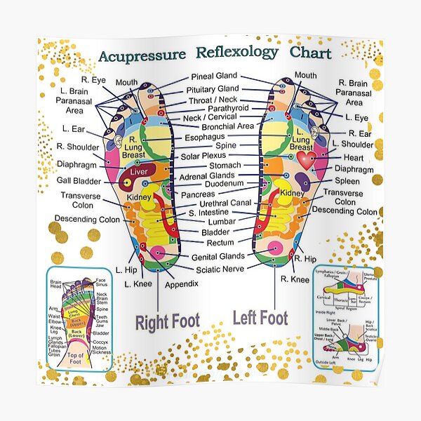 Foot Reflexology Acupressure Spots Map - Therapeutic Massage Ideas Poster