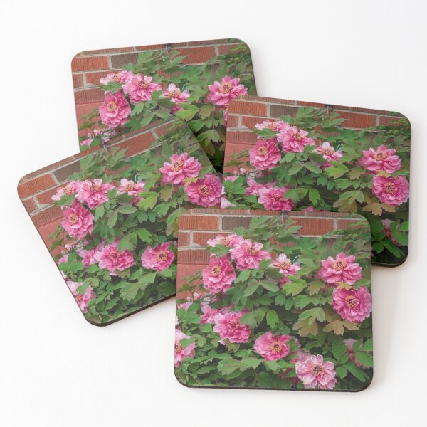Item preview, Pink Peonies Growing Against a Red Brick Wall designed and sold by Gerda Grice Photography.