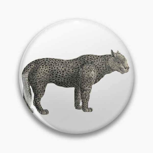 Item preview, Vintage Big Cat Sticker Pack #2 designed and sold by Physica.