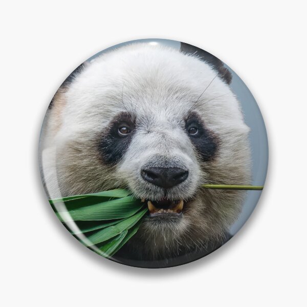 Artikelvorschau, Panda Mann entworfen und verkauft von Mike Kiev art.