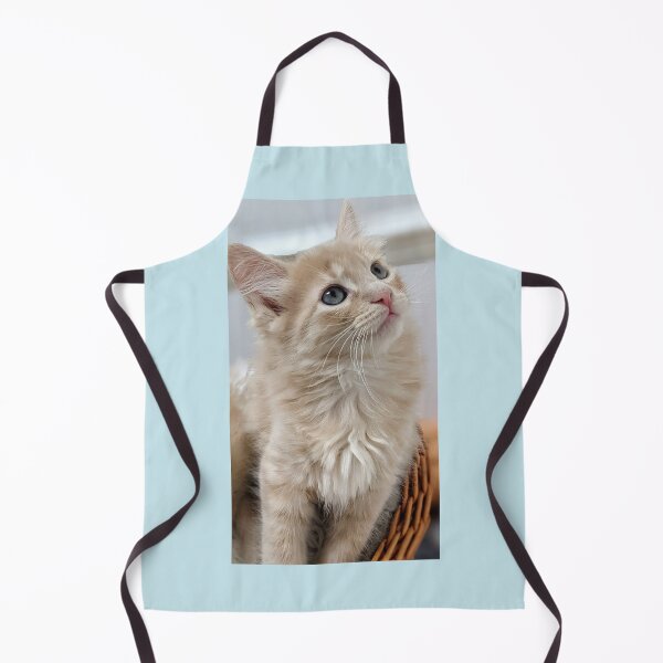 Item preview, Ragdoll Mainecoon kitten designed and sold by Fluffycat2020.