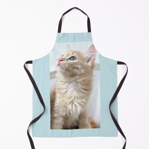 Item preview, Ragdoll Mainecoon kitten designed and sold by Fluffycat2020.