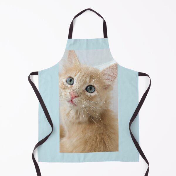 Item preview, Ragdoll Mainecoon kitten designed and sold by Fluffycat2020.