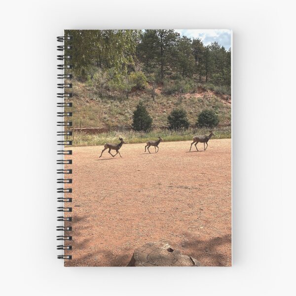 Item preview, Deer at Red Rock Open Space designed and sold by Tiffany Luna.