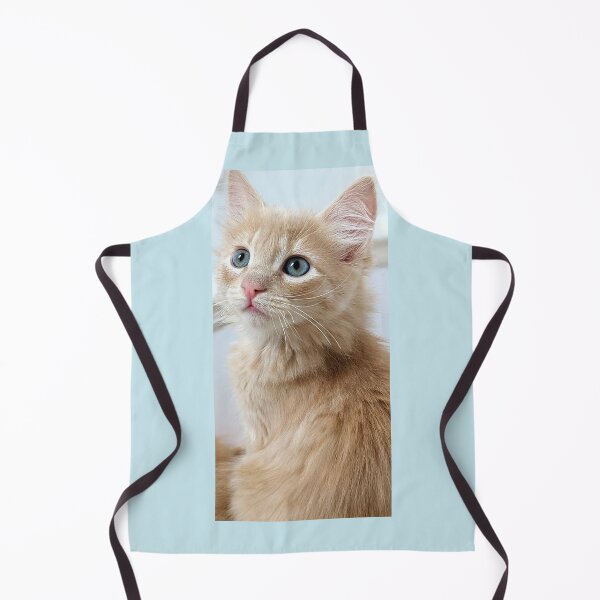 Item preview, Ragdoll Mainecoon kitten designed and sold by Fluffycat2020.