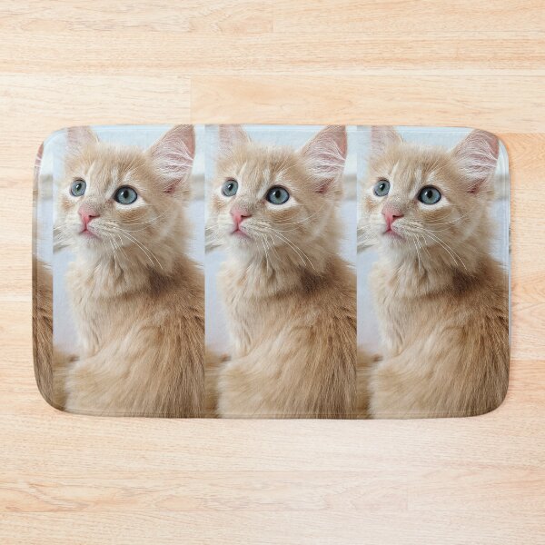 Item preview, Ragdoll Mainecoon kitten designed and sold by Fluffycat2020.