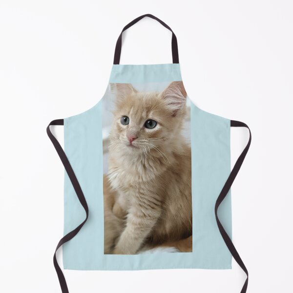 Item preview, Ragdoll Mainecoon kitten designed and sold by Fluffycat2020.