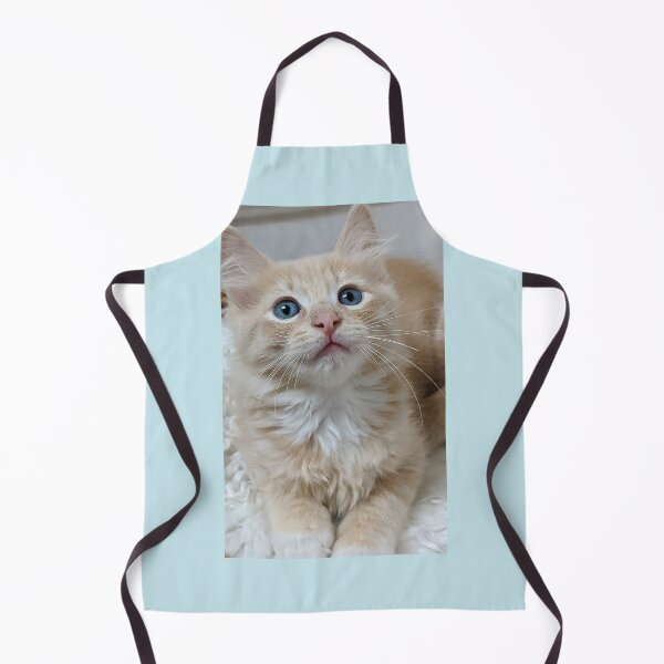 Item preview, Ragdoll Mainecoon kitten designed and sold by Fluffycat2020.
