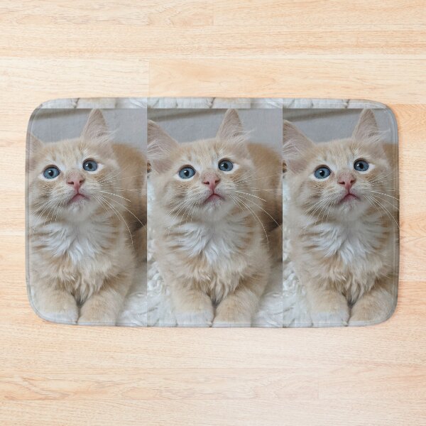 Item preview, Ragdoll Mainecoon kitten designed and sold by Fluffycat2020.