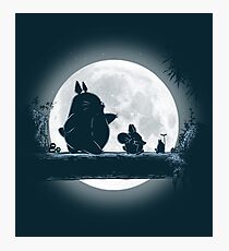 Hakuna Totoro Photographic Print