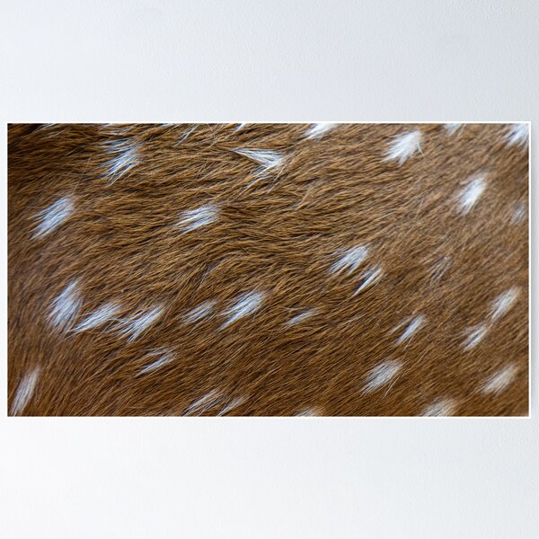 Deer Skin Texture Gifts & Merchandise for Sale