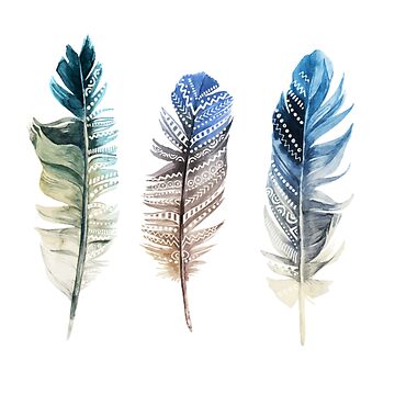 Feathers Fly Exotic Cluster of Blue Feathers Photographic Print