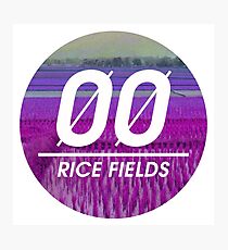 Rice Fields Photographic Print