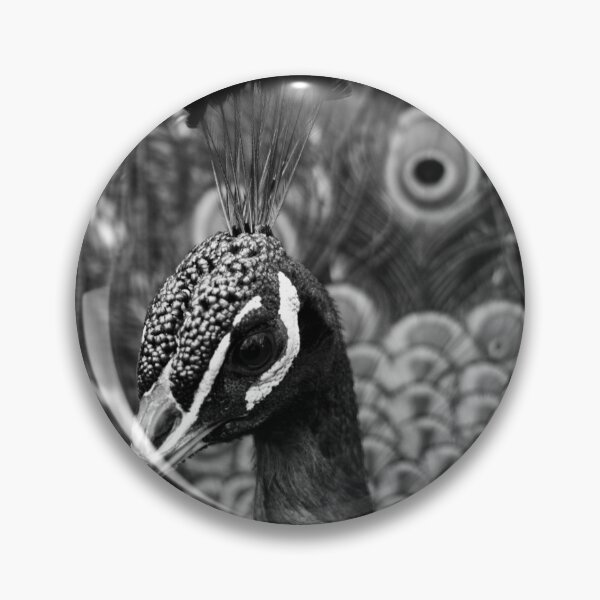 Item preview, black and white peacock portrait designed and sold by devil0035.
