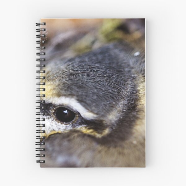 Item preview, young tit in the nest designed and sold by devil0035.