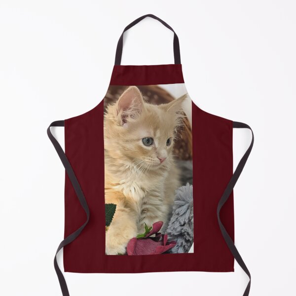 Item preview, Ragdoll Mainecoon kitten designed and sold by Fluffycat2020.