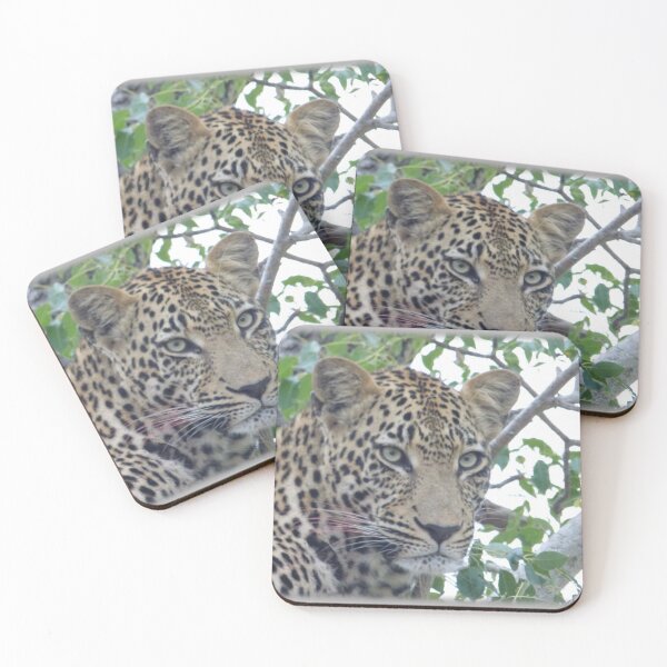 Item preview, Leopard Stare designed and sold by KDQuin .