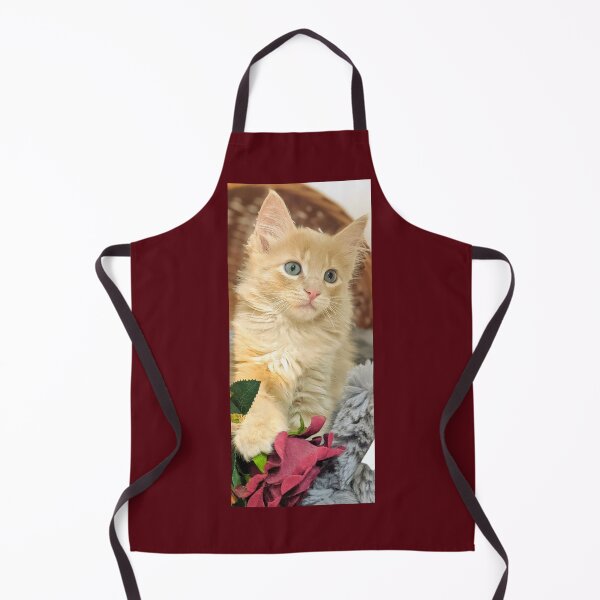 Item preview, Ragdoll Mainecoon kitten designed and sold by Fluffycat2020.