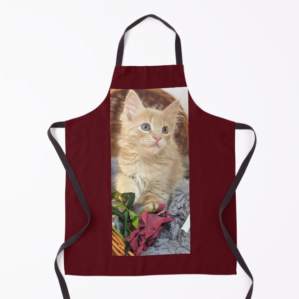 Item preview, Ragdoll Mainecoon kitten designed and sold by Fluffycat2020.