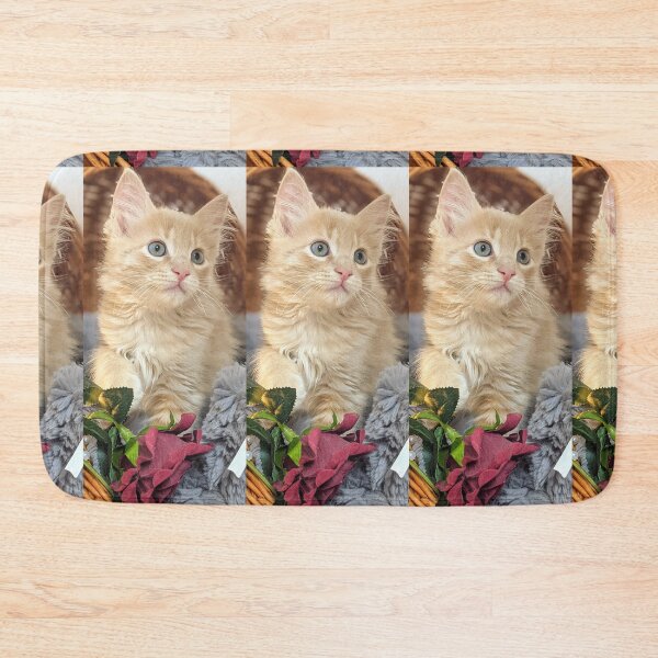 Item preview, Ragdoll Mainecoon kitten designed and sold by Fluffycat2020.