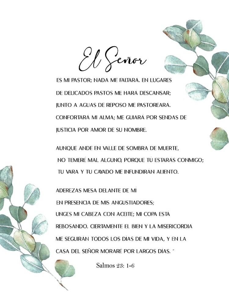 salmo 23, psalm 23 in spanish iPad Case & Skin for Sale by