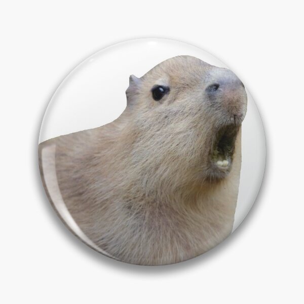 Item preview, Capybara Screaming designed and sold by Mino Shop.