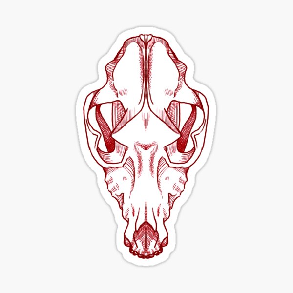 Hatched Skull Sticker