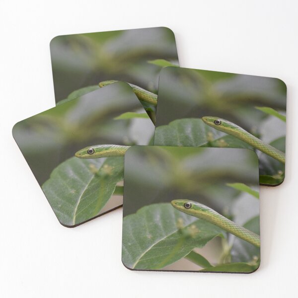 Item preview, Green Snake designed and sold by Tonia Delozier's Photography .