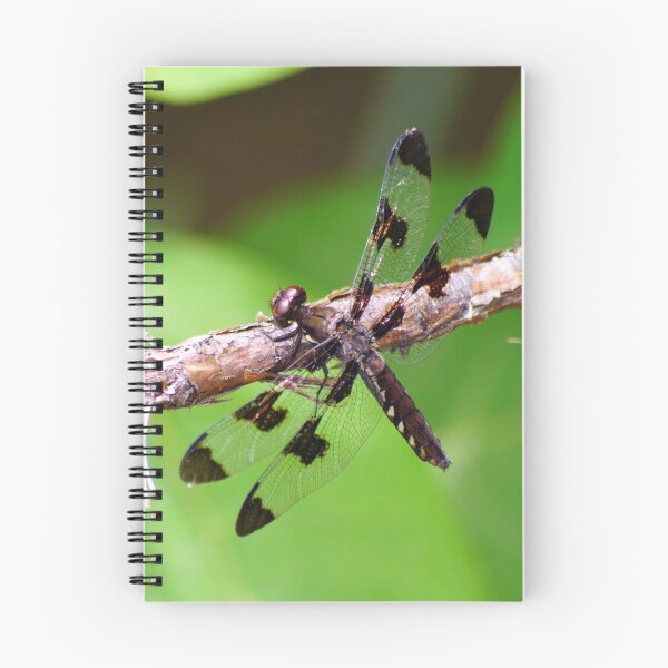 Item preview, Portrait of a Dragonfly  designed and sold by Lanis Rossi.