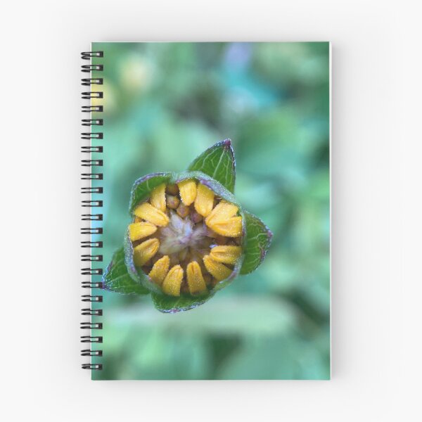Item preview, Longleaf Arnica Flower Bud designed and sold by Sinemathk.