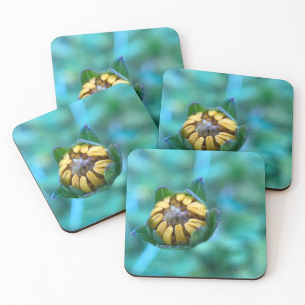 Item preview, Longleaf Arnica Flower Bud designed and sold by Sinemathk.