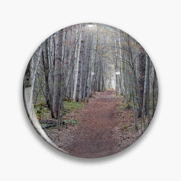 Item preview, A walk in the Woods designed and sold by Imalairdphotos.
