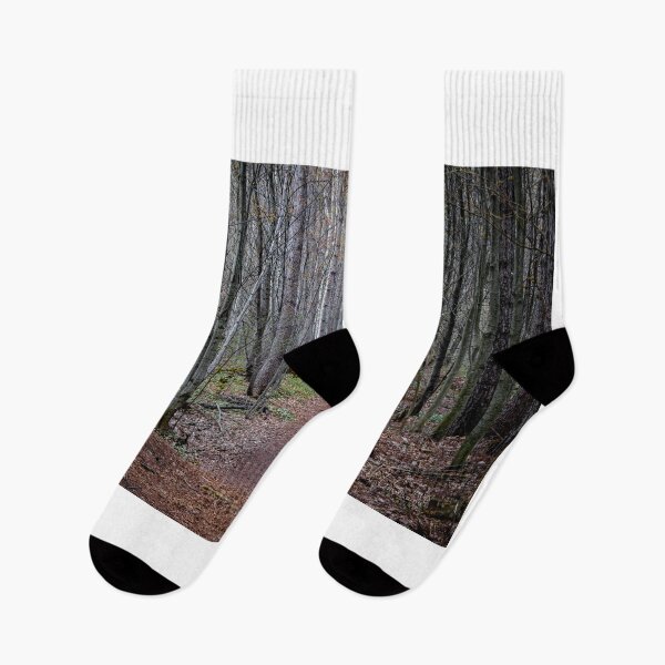 Item preview, A walk in the Woods designed and sold by Imalairdphotos.
