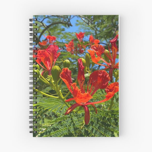 Item preview, Red Flamboyant Tree Flowers designed and sold by Sinemathk.