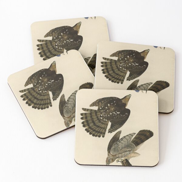 Item preview, 36 Stanley Hawk designed and sold by Bird-Lore.