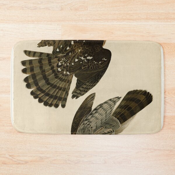 Item preview, 36 Stanley Hawk designed and sold by Bird-Lore.